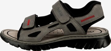 Rieker Hiking Sandals in Grey