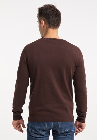 RAIDO Sweater in Brown