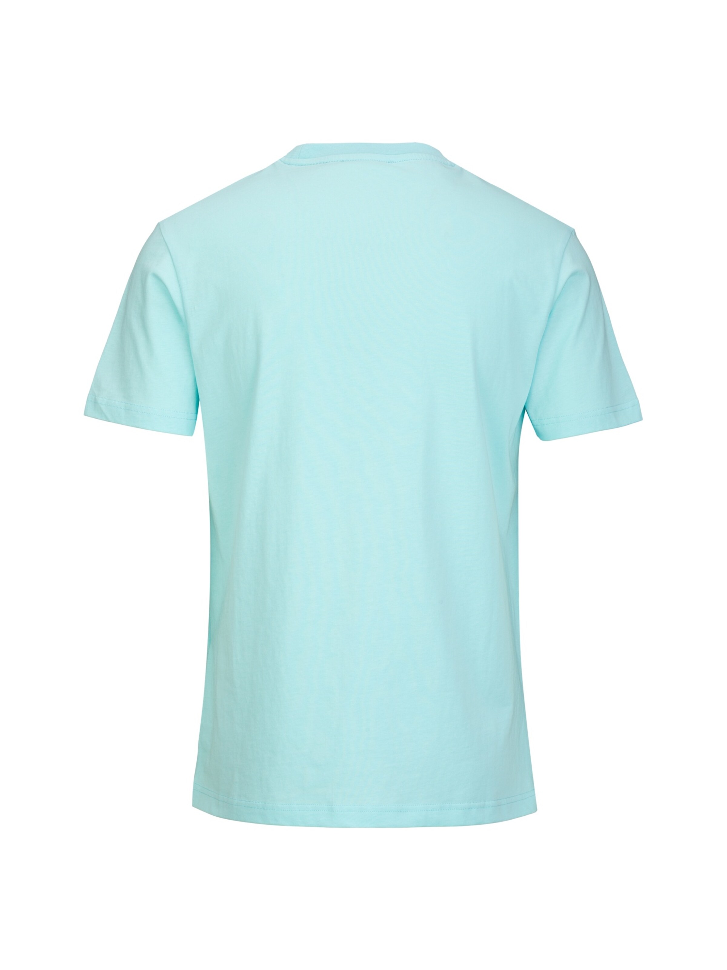 19V69 ITALIA Shirt 'Rafael' in Green