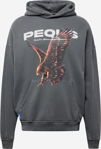 Sweat-shirt Pequs en gris : devant