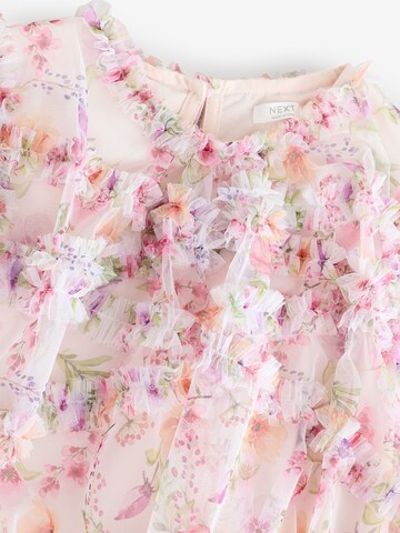 Next Dress in Pink