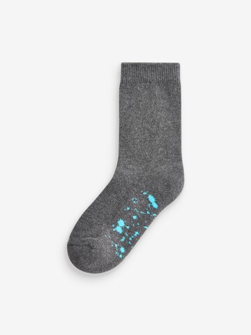 Next Socks in Grey
