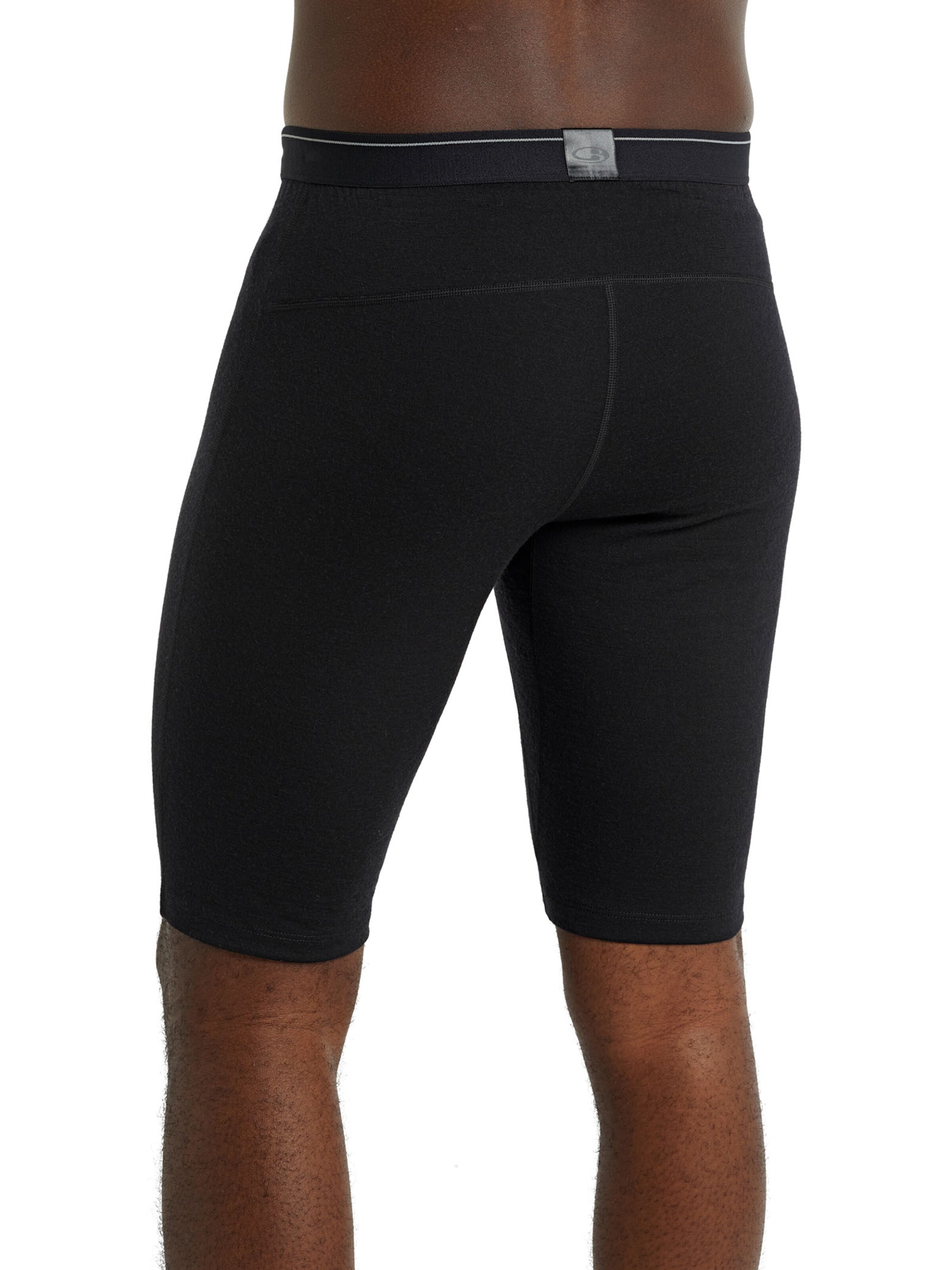 ICEBREAKER Спортивные трусы 'Oasis' в Черный