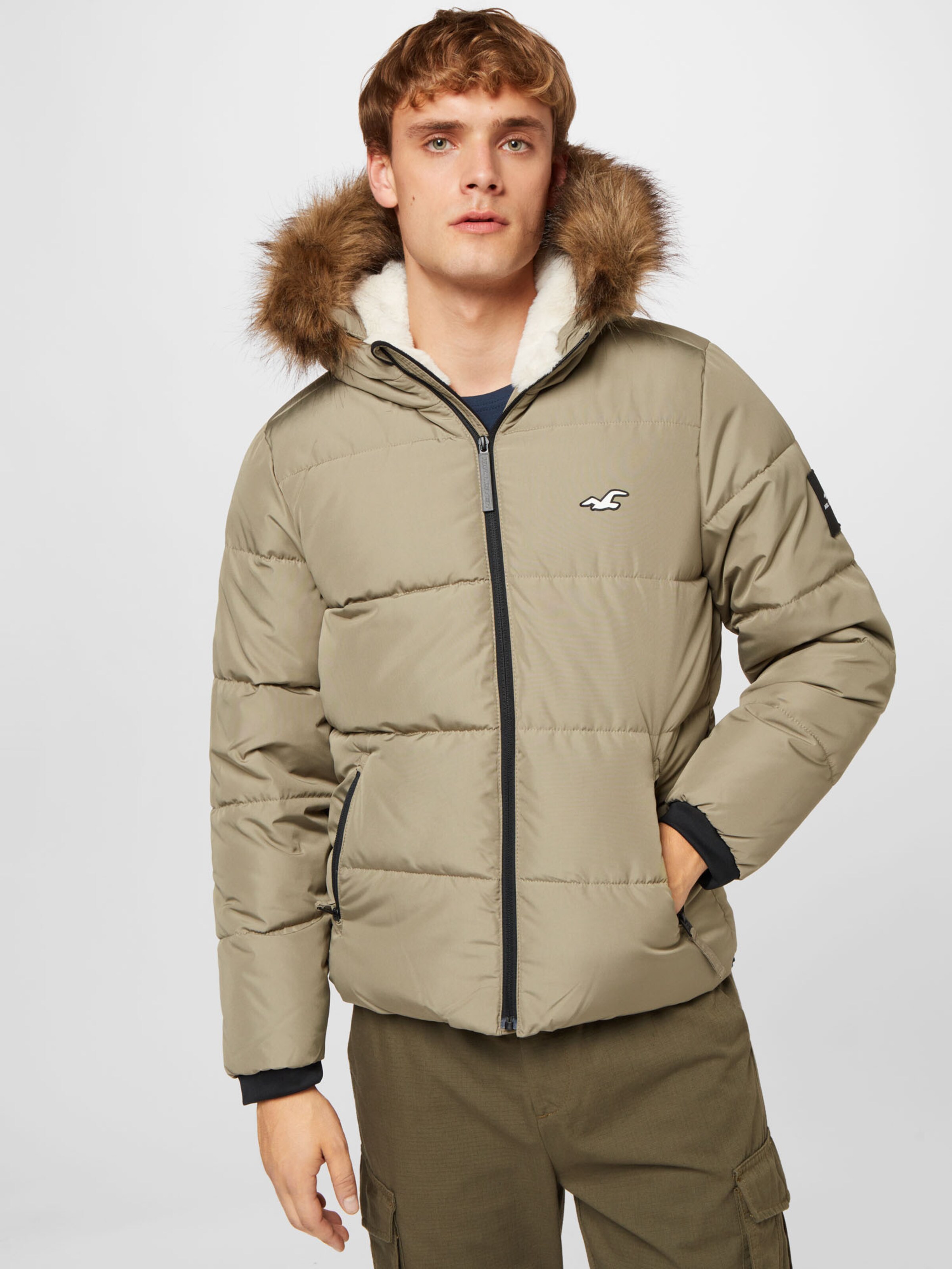 Winter jacket hotsell hollister