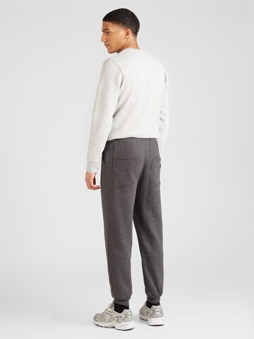 Tapered Pantaloni di naketano in grigio