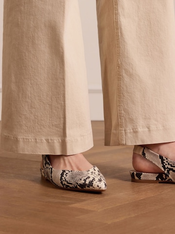 Chaussure basse MANFIELD en gris