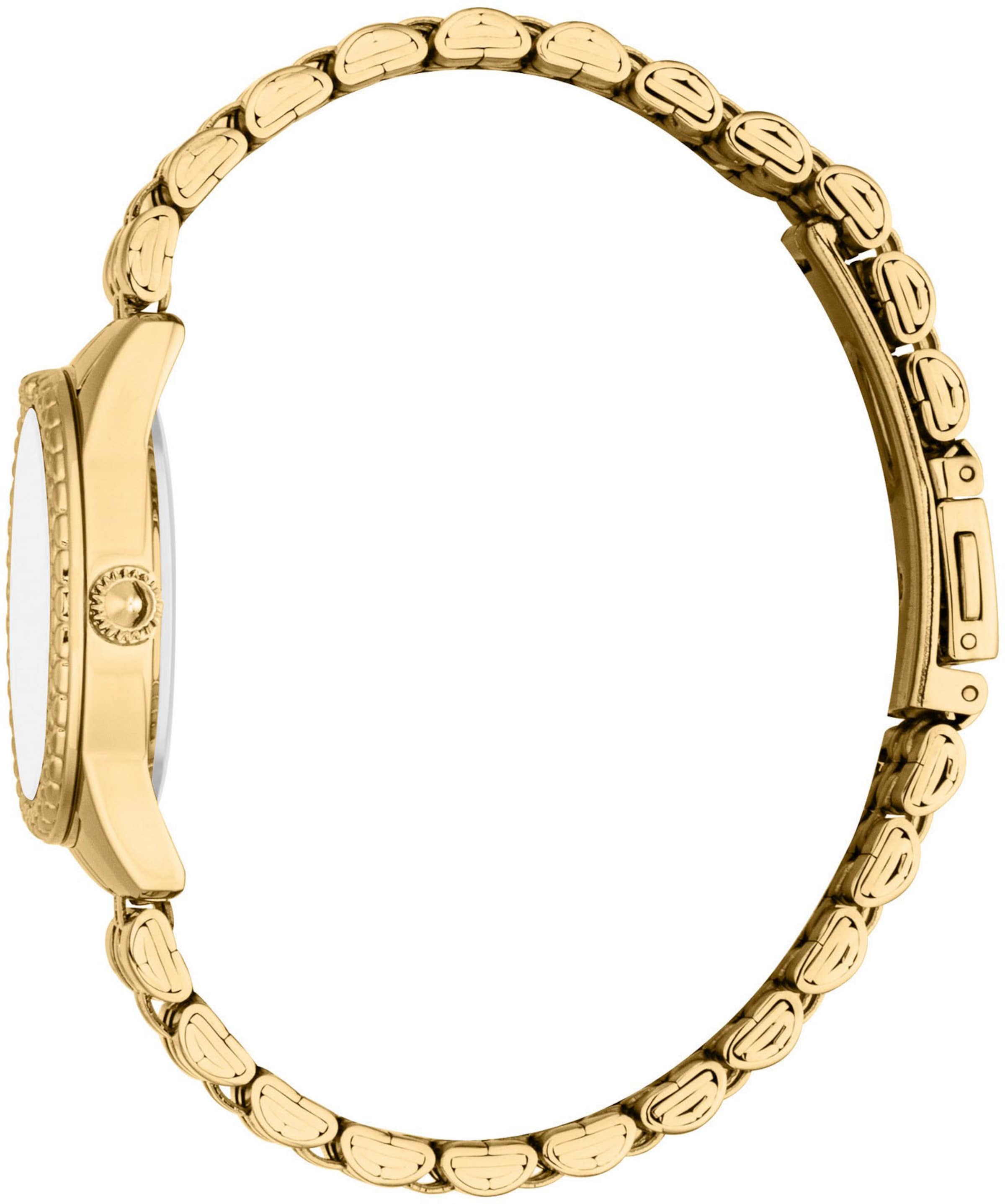 Just Cavalli Time Analog Watch in Gold