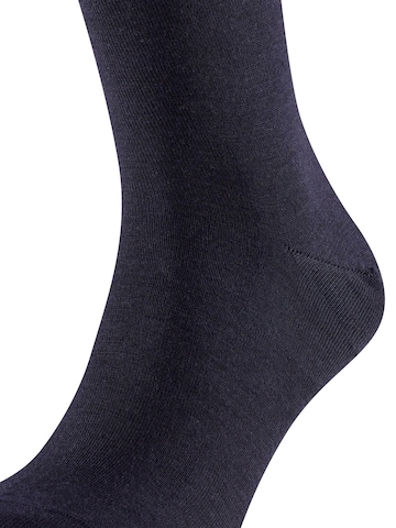 FALKE Knee High Socks 'Airport' in Blue