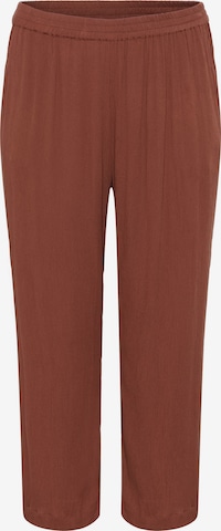 KAFFE CURVE Hose 'KCdacina' in Braun: Vorderseite