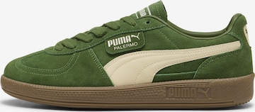 PUMA Platform trainers 'Palermo' in Green: front