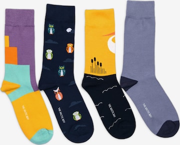 Chaussettes 'ZORA EDITION Gift box 4 Pack Unisex' The Arctic Bay en mélange de couleurs : devant