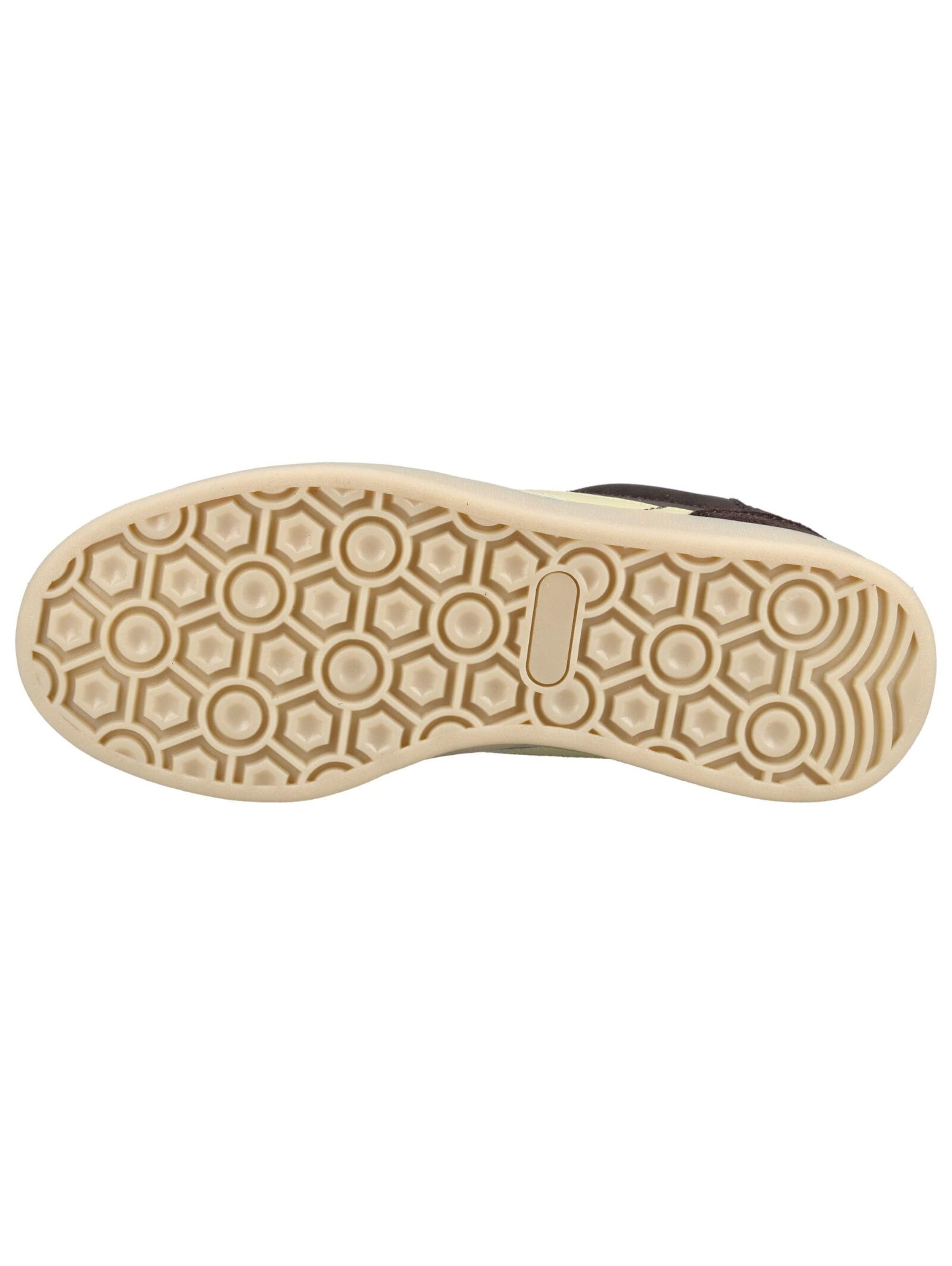 Baskets basses SCOTCH & SODA en marron