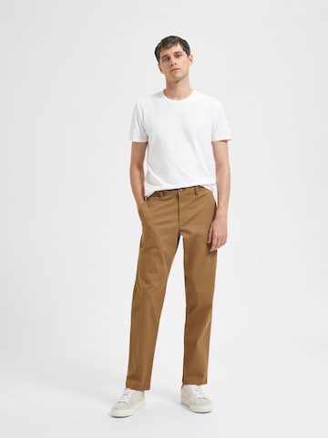 SELECTED HOMMEregular Chino hlače 'New Miles' - smeđa boja