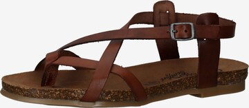 COSMOS COMFORT Strap Sandals in Brown: front