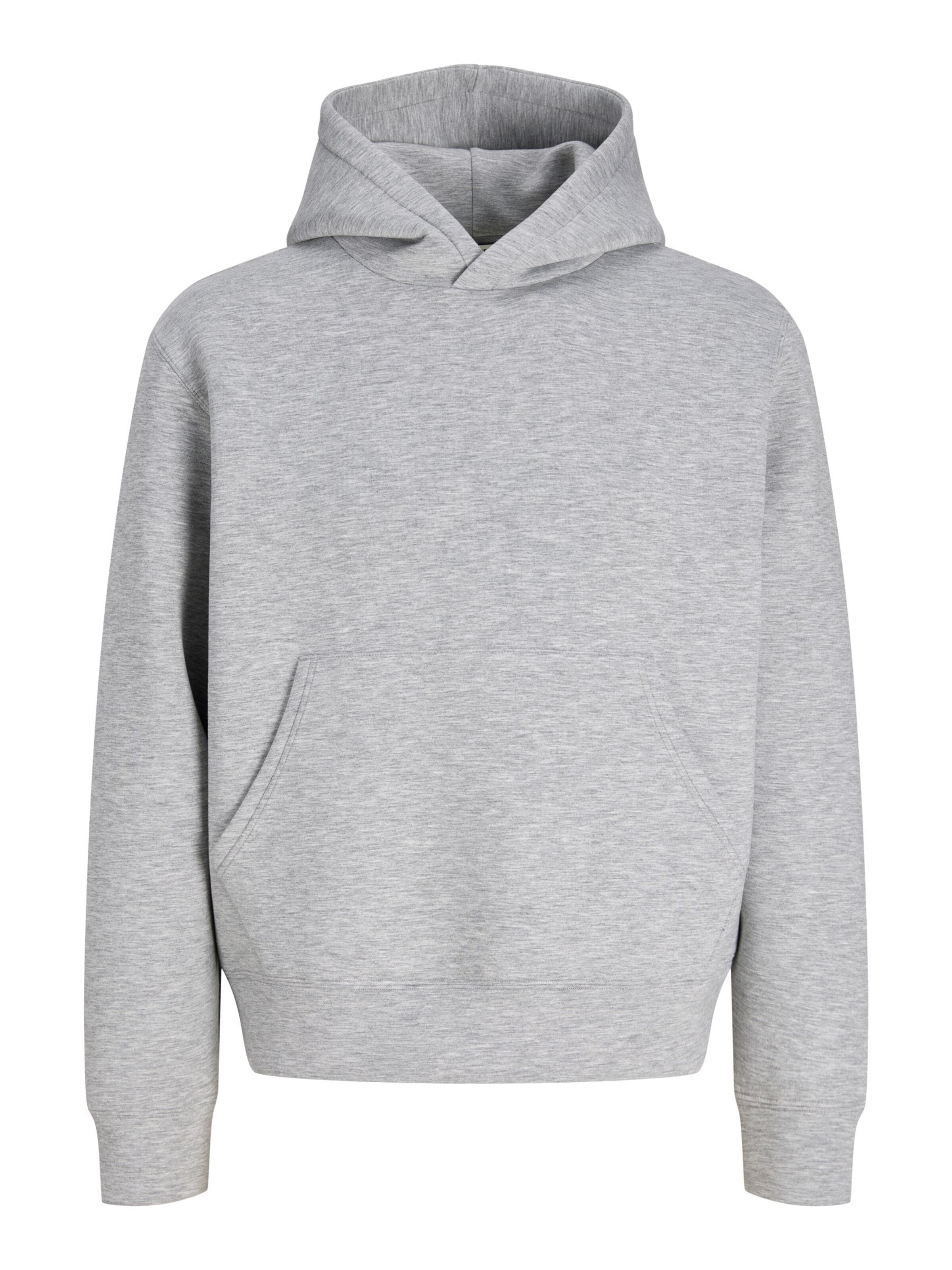 Felpa di JACK & JONES in grigio: frontale
