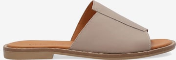 VENEZIA Mules 'Venezia' in Grey: front