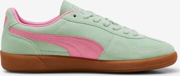 PUMA - Zapatillas deportivas bajas 'Palermo' en verde