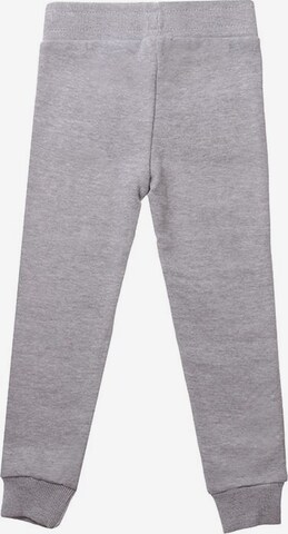 LILIPUT Regular Pants in Grey