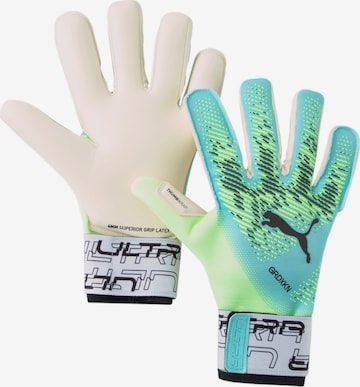 PUMA Athletic Gloves in Blue: front