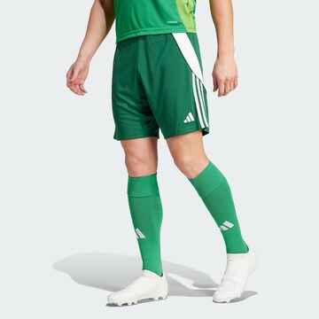 ADIDAS PERFORMANCE Regular Sportbroek ' Tiro 24 ' in Groen: voorkant