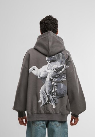 DEF Sweatshirt 'Horse' in Grey: front