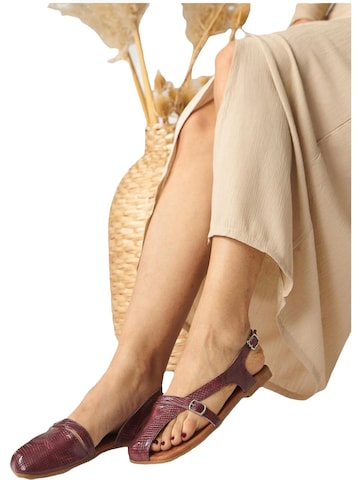 Limoya - Sandalias 'Almina' en rojo