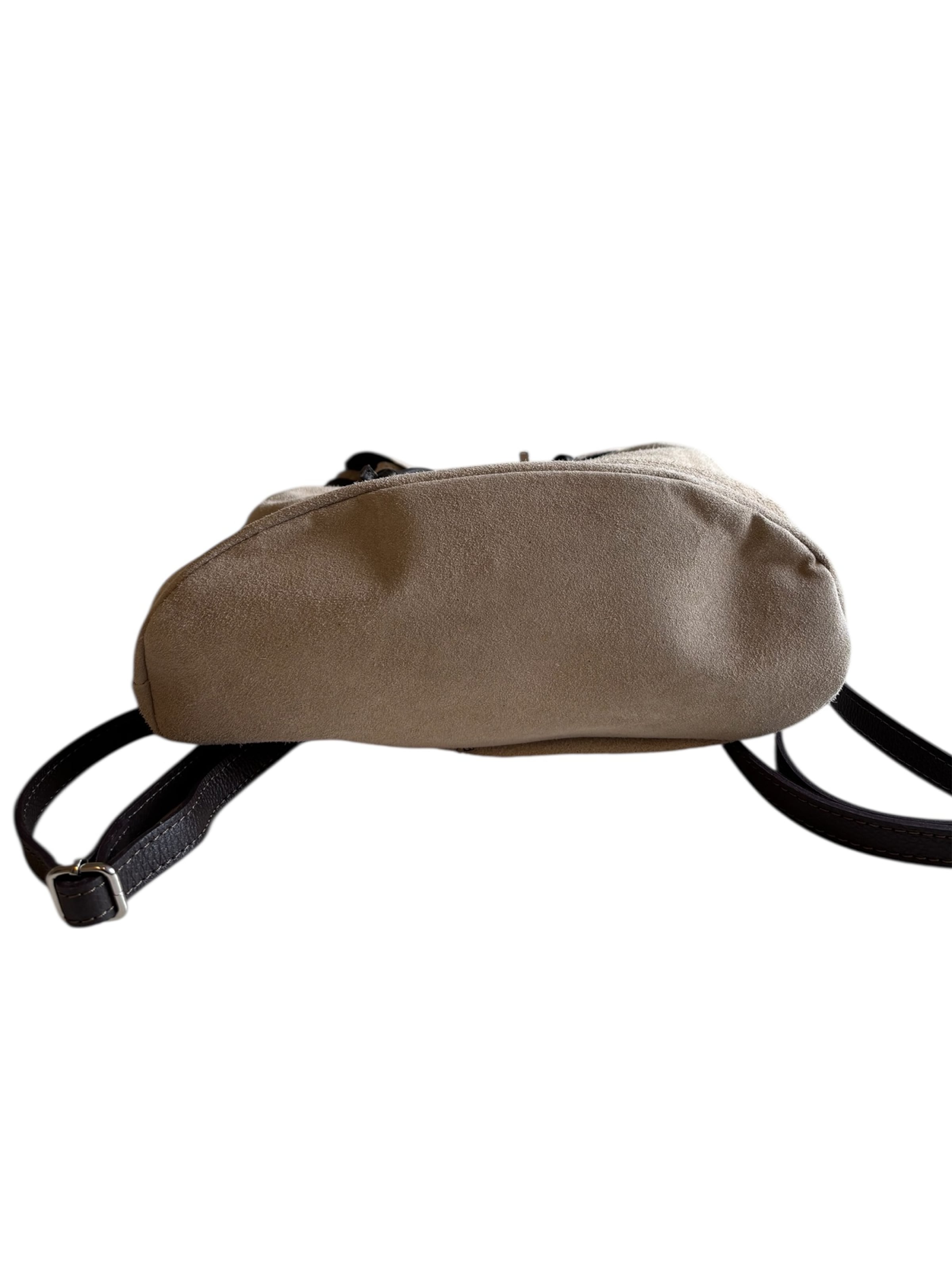 CHICCA BORSE Rugzak in Beige