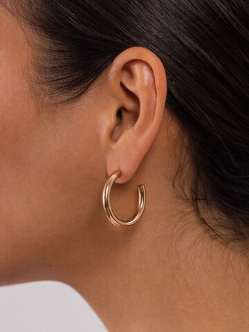PURELEI Earrings 'Kumu' in Gold