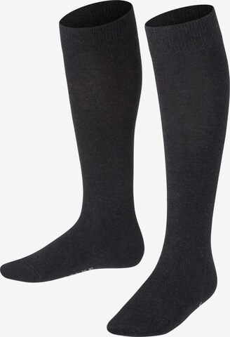 FALKE Socken 'Family' in Grau: Vorderseite
