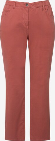 Ulla Popken Bootcut Jeans  (GOTS) in Rot: predná strana