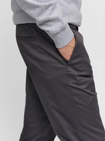 SANVT Regular Chinohose 'The Smart Chino'‌‌‌‌‌ in Grau