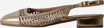 Décolleté sling 'Pumps mit Riemchen' di POTI PATI in oro: frontale