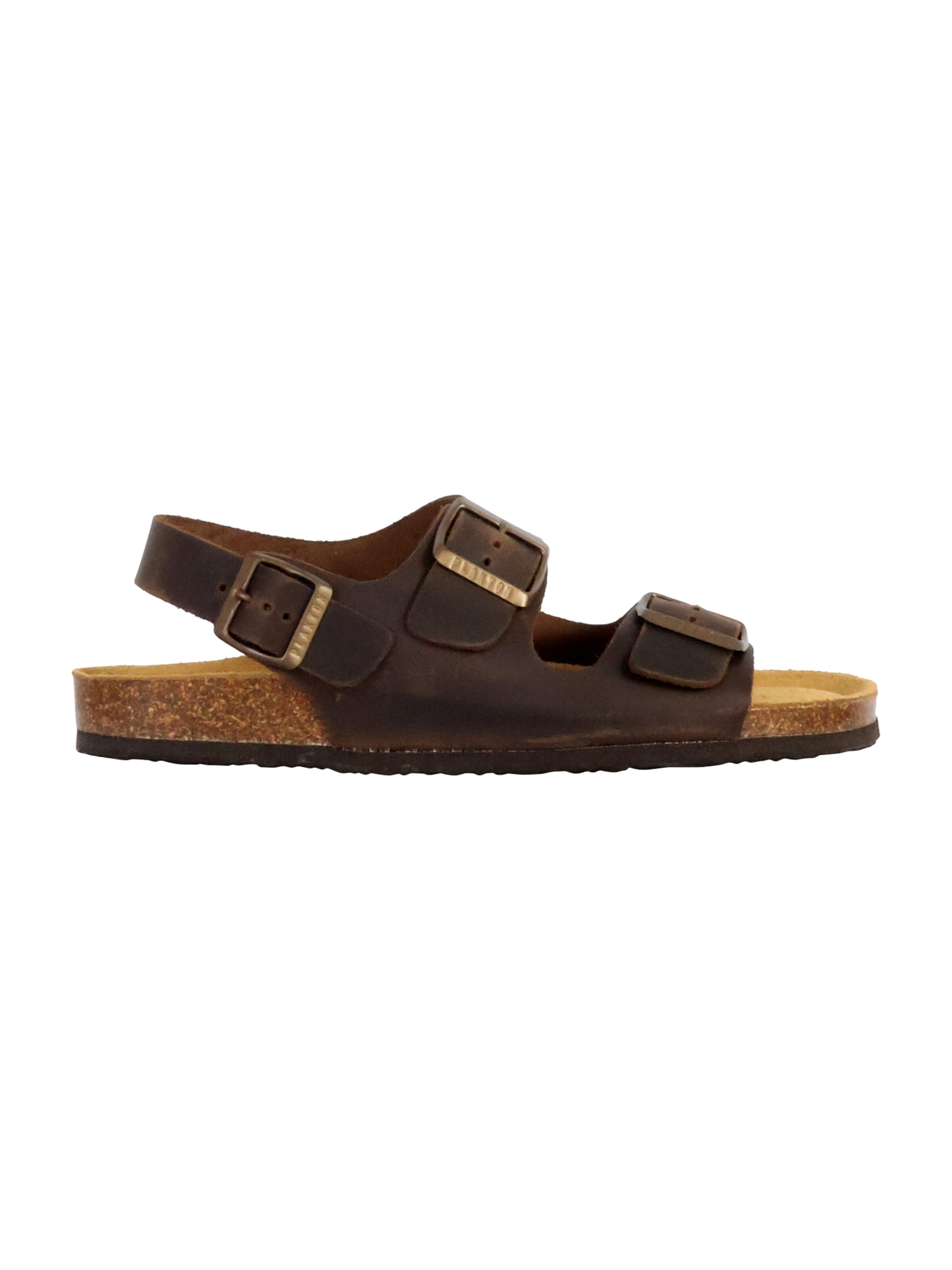 Mule Plakton en marron