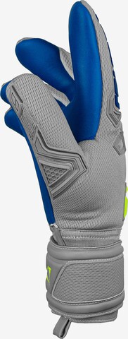 REUSCH Athletic Gloves 'Attrakt Freegel Silver Finger Support' in Grey