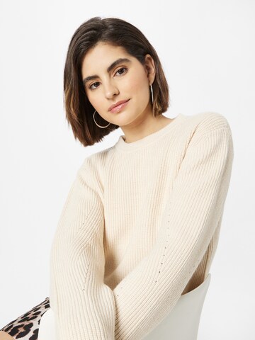 Esqualo Sweater in Beige