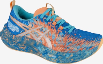 Chaussure de course 'Gel-Noosa Tri 16' ASICS en bleu : devant