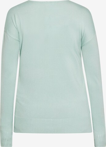 usha BLUE LABEL Sweater in Green