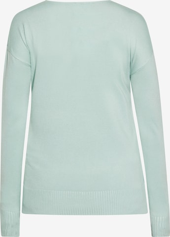 Pull-over usha BLUE LABEL en vert