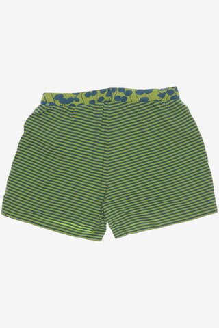 Qiero Shorts in L in Green
