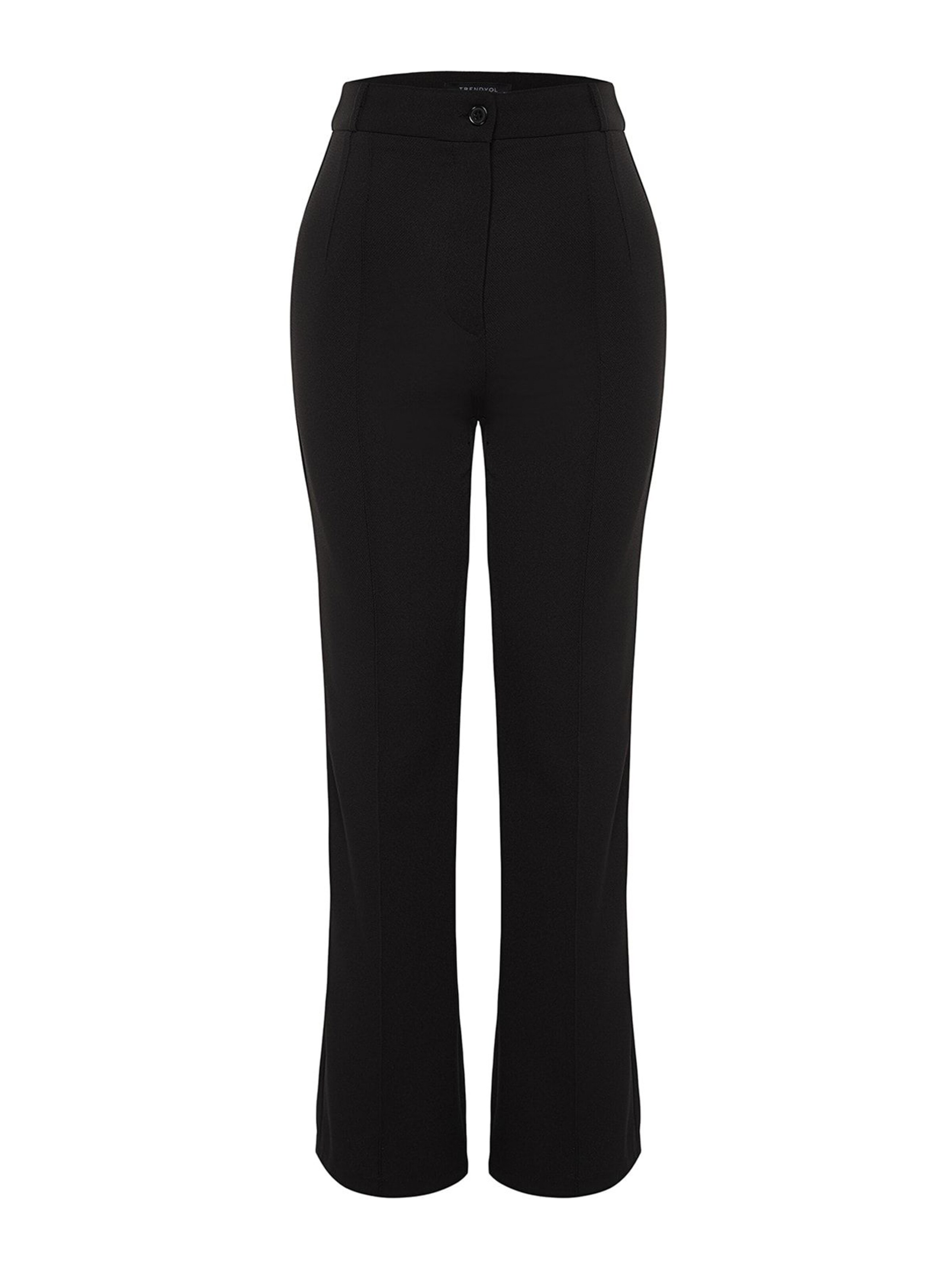 Trendyol Regular Pleated Pants in Black: front