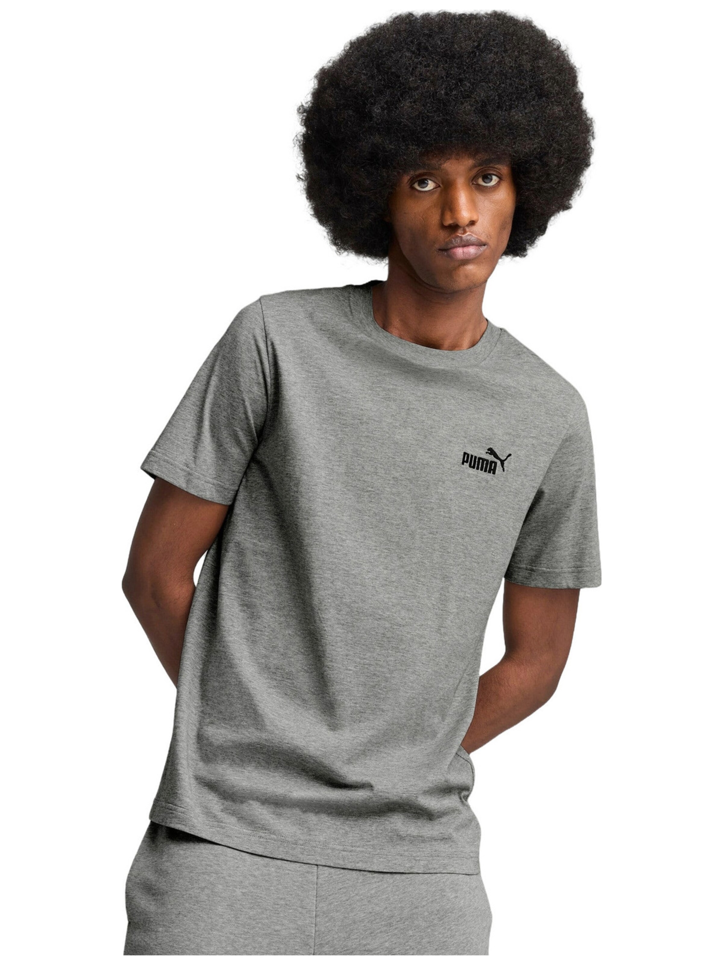 PUMA Shirt 'Puma Ess Small No. 1 Logo Tee'‌ in Grau: Vorderseite