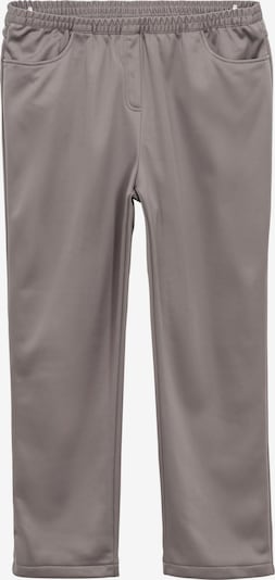 SHEEGO Pants in Silver grey, Item view