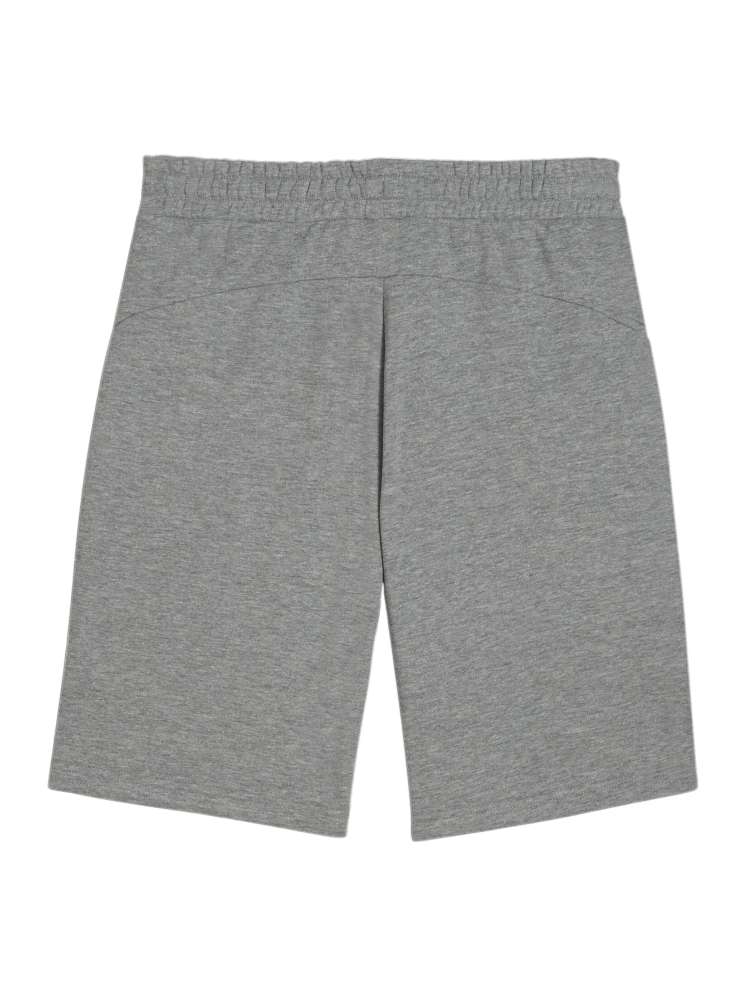 Regular Pantaloni sport 'Borussia Dortmund' de la PUMA pe gri