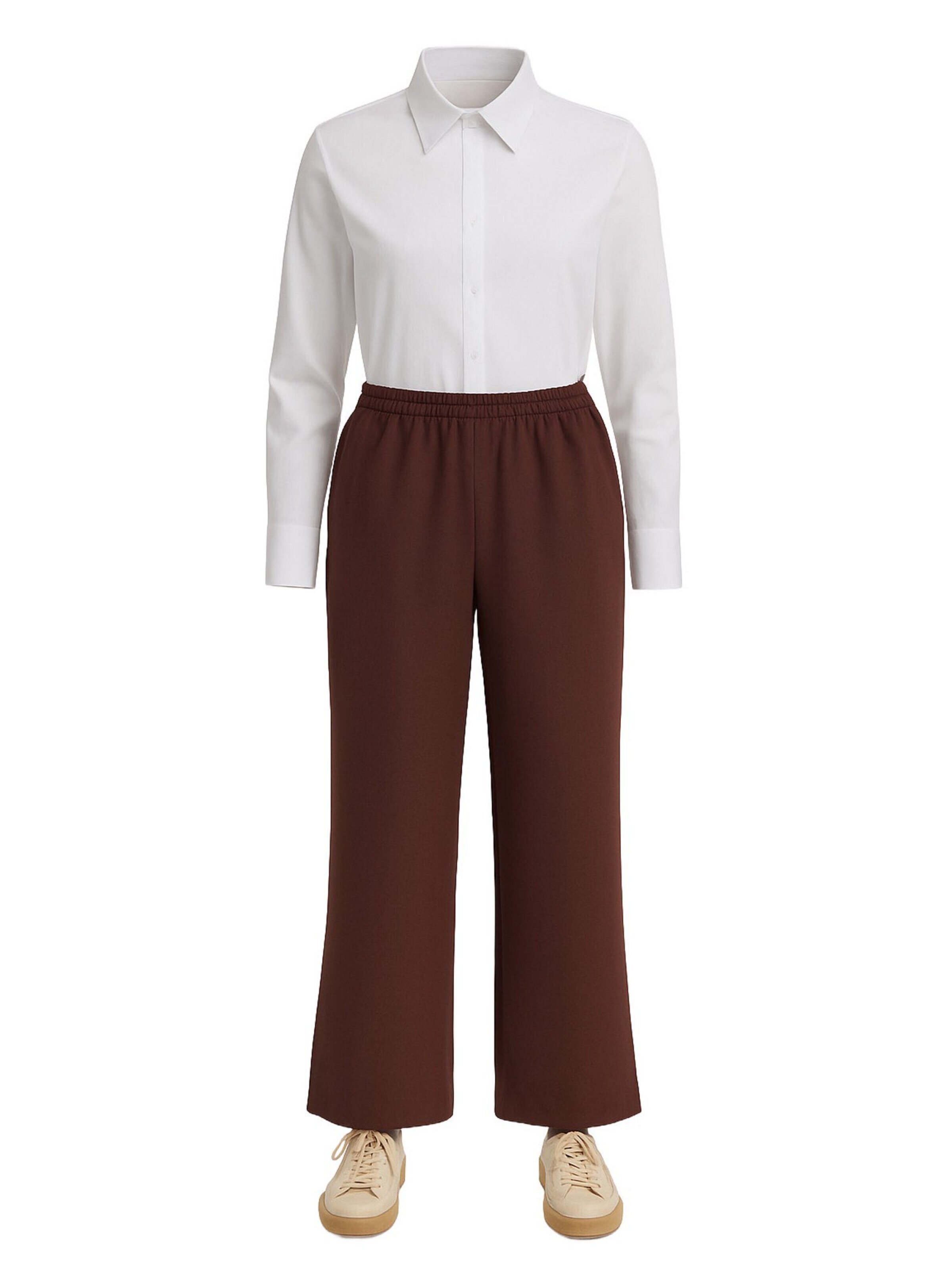 Touche Prive Pleated Pants in Brown: front