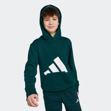 žalia ADIDAS SPORTSWEAR Sportinio tipo megztinis 'Essentials'