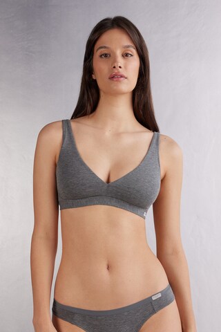 INTIMISSIMI Triangle Bra in Grey: front