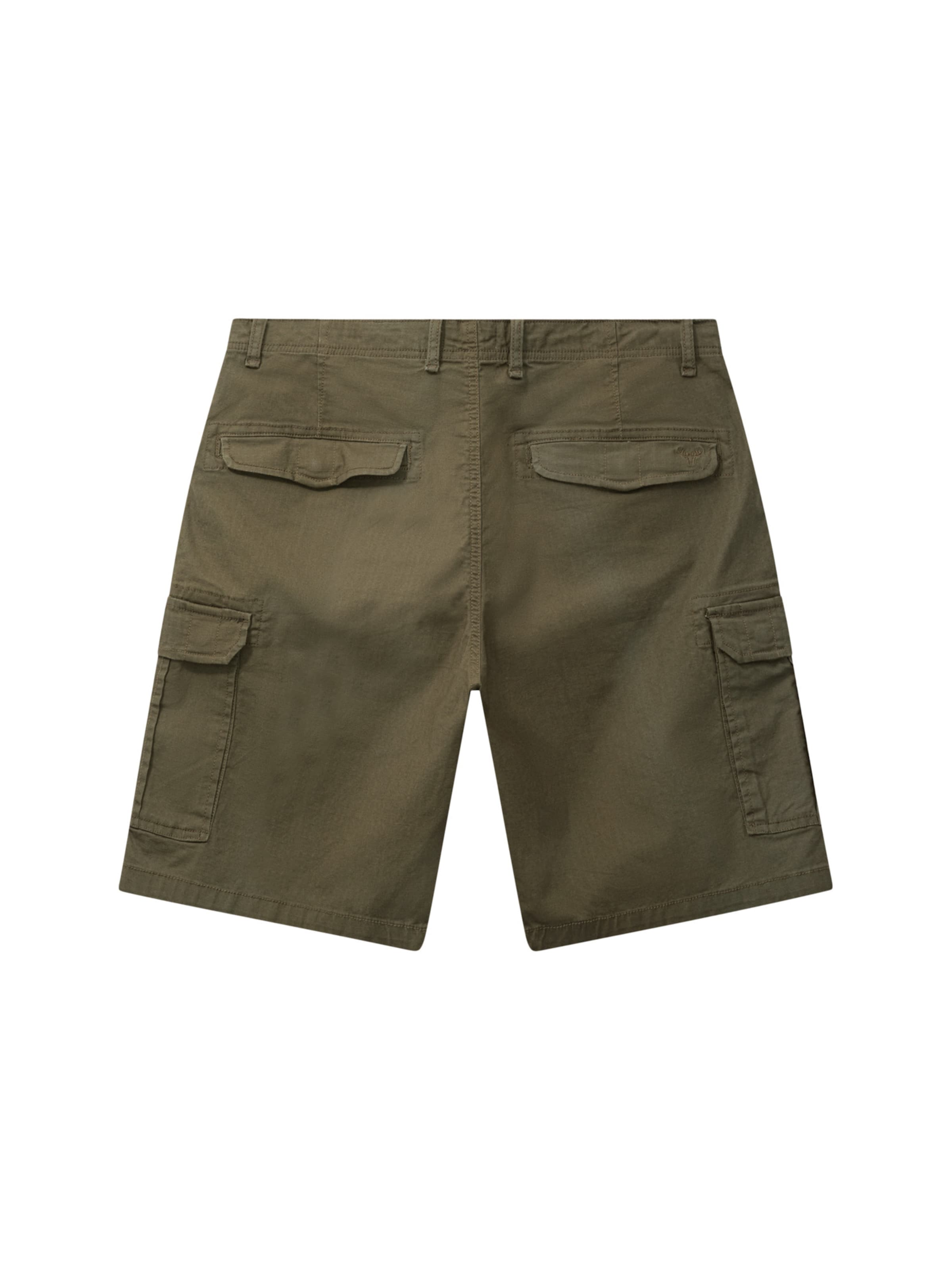 Fat Moose - regular Pantalón cargo ' Radar ' en verde