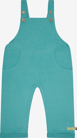 loud + proud Regular Latzhose in Grün: Vorderseite