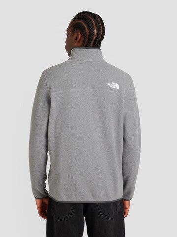 THE NORTH FACE Sportpullover '100 Glacier' in Grau