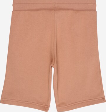 ADIDAS ORIGINALS Regular Pants 'Adicolor' in Brown